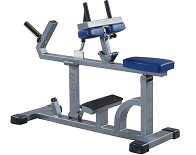 EXR-043 SEATED CALF